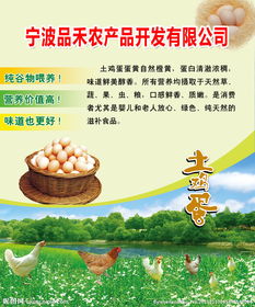 农产品开发与软件开发的融合 数字农业新路径